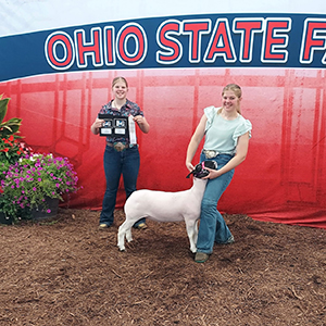 3rd Overall Overall AOB
2026 Ohio State Fair Open Show