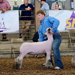 3rd Overall Overall Shrop
2026 Ohio State Fair Open Show
