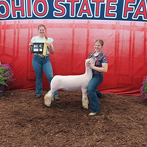 5th Overall Southdown
2026 Ohio State Fair Open Show