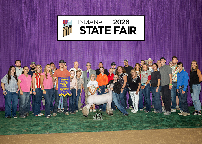 Reserve Grand Champion Market Lamb
Champion Crossbred 
2026 Indiana State Fair 